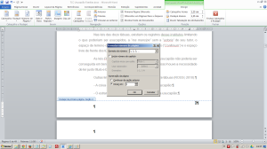 Numerando páginas no Word - Janela de edição da numeração