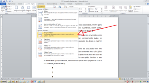 Numerando páginas no Word - Inserindo quebra de seção